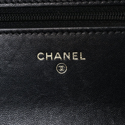 Lambskin Quilted Chanel 19 Wallet On Chain WOC Black