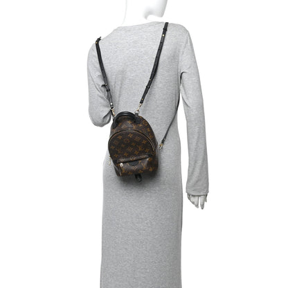 Monogram Palm Springs Backpack Mini