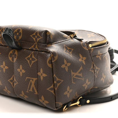 Monogram Palm Springs Backpack Mini